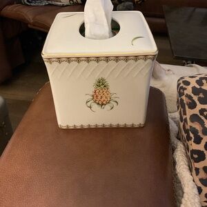 Pineapple Decor tissue cover - White and Green